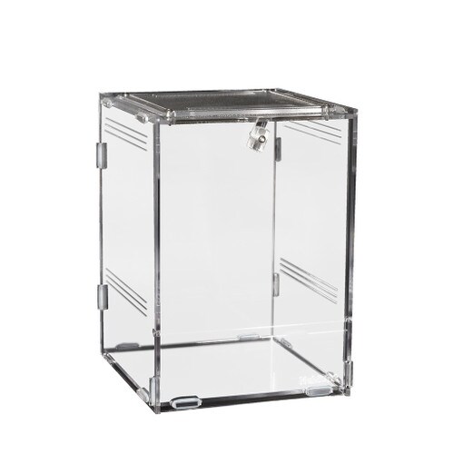 Medium Clear Home